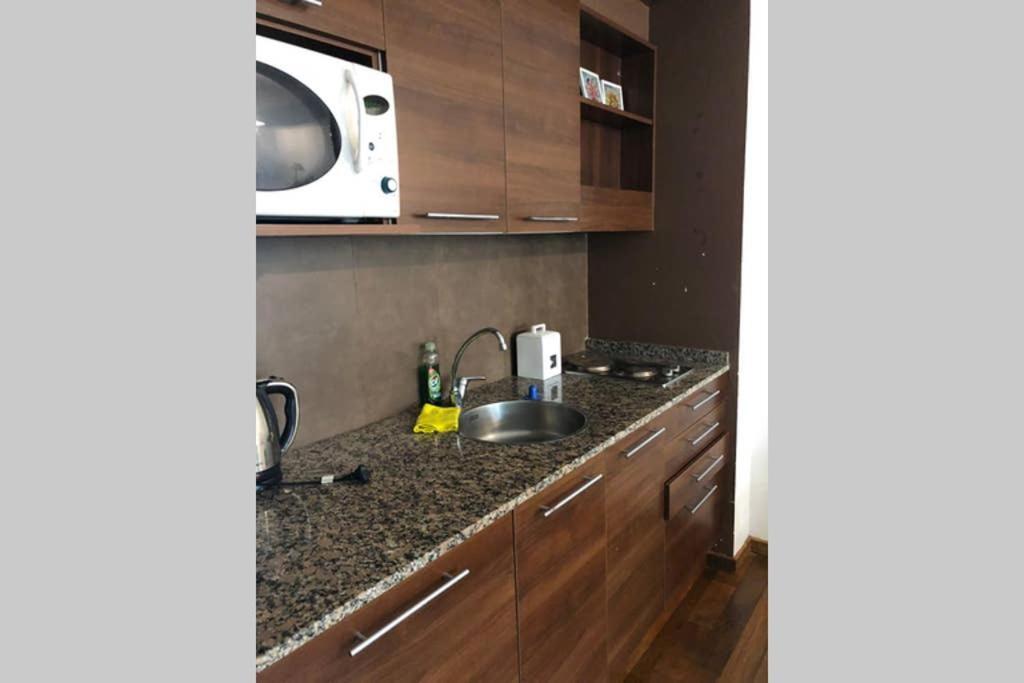 Fabulous Studio! Sanatorio Britanico, Rio Y Mas. Apartment Rosario